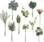 ARTIFICIAL GREENING STEM BOX SET-FOREST GREEN